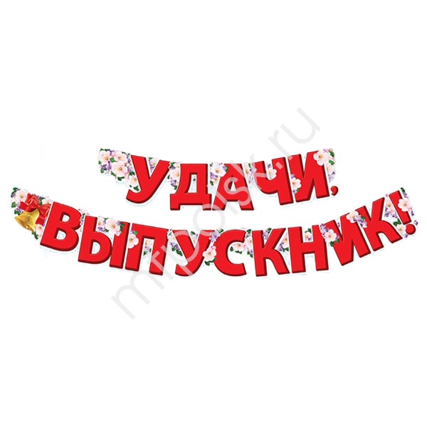 ZP Гирлянда Удачи выпускник 180*13см