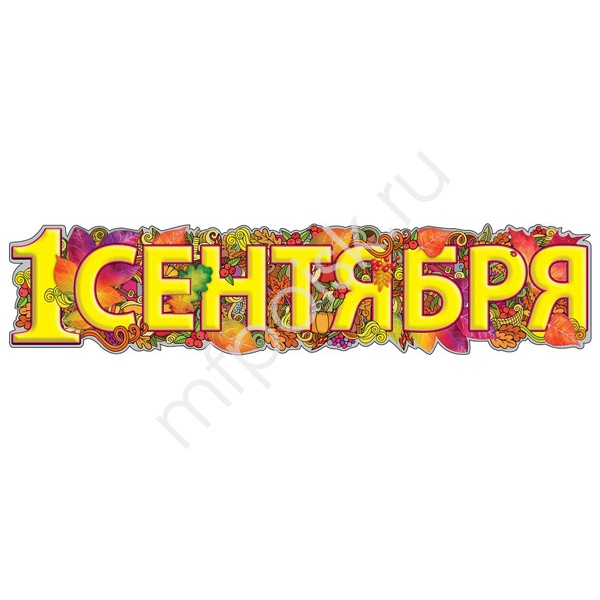 ZP Гирлянда 1 Сентября 100х22см