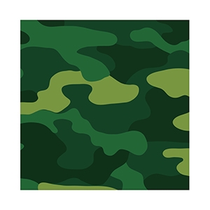 F 33см X 33см Салфетки Милитари 12шт