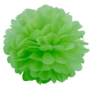 Q Помпон бумажный 20см светло-зеленый