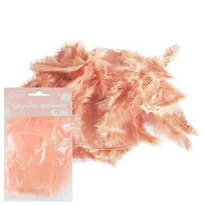 Y Перья Rose/gold 30шт