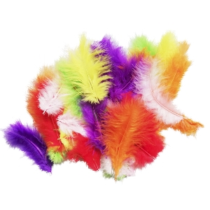 Y Перья разноцветные 30шт